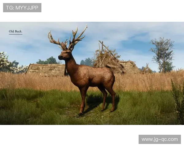 记者分析无字鹿获胜背后的深远意义彰显雄鹿实力不容忽视